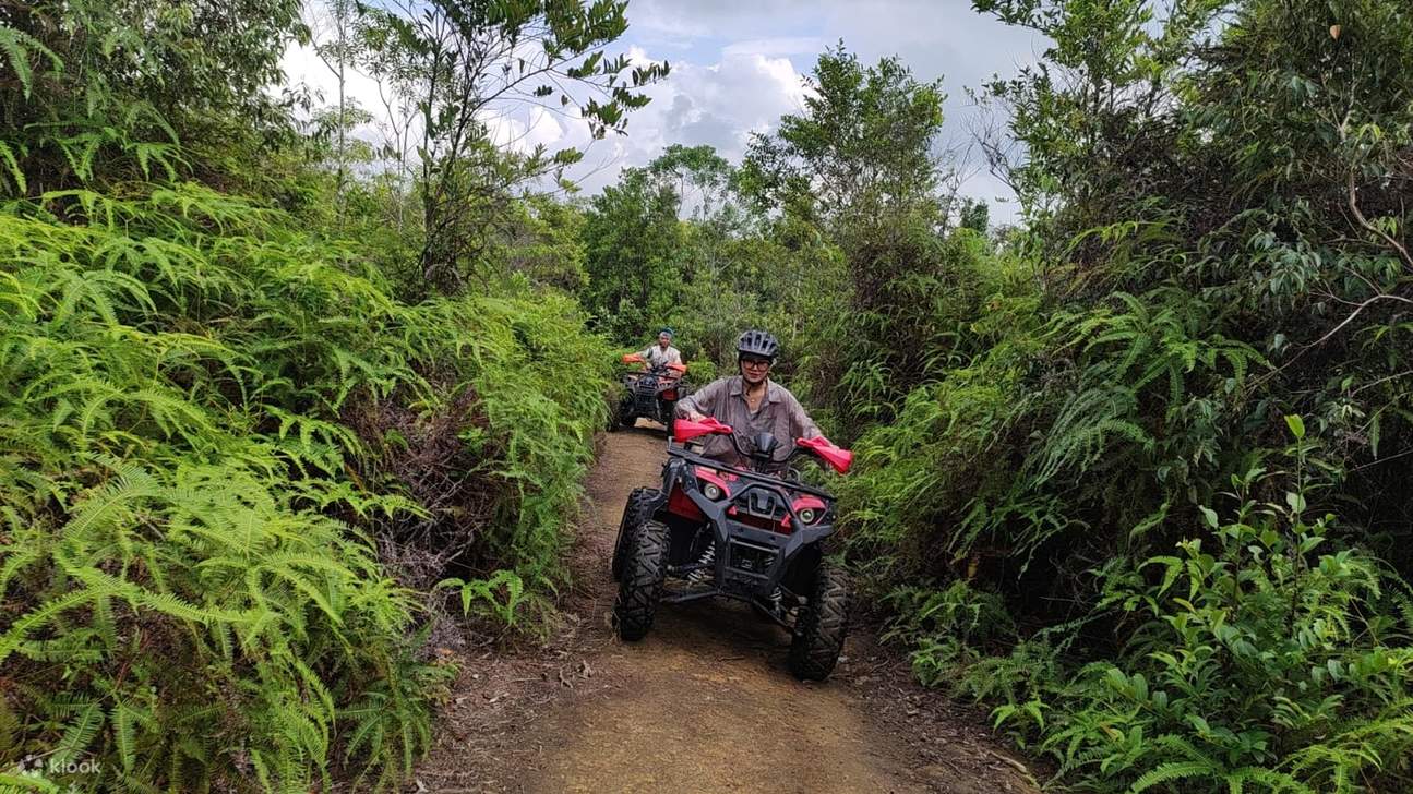 冒険中は安全に注意し、ジャングルの環境を尊重してください。