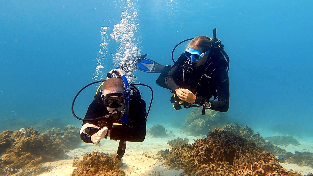 Discover Adventure: PADI Advanced Open Water Diver in Bohol with PADI 5