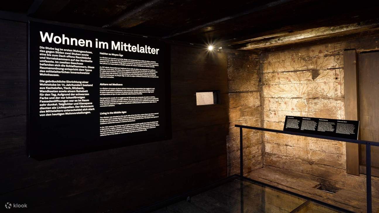 Билет в Forum of Swiss History в Швейцарии