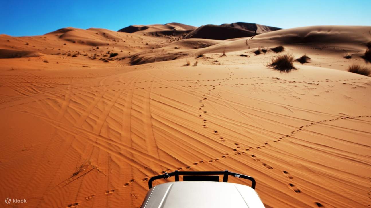 在黎明時分醒來，感受沙漠的寧靜之美，享受一個平靜而難忘的早晨