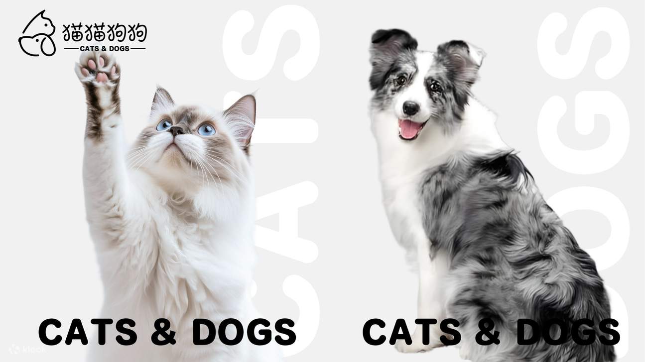 DX-PARK 2.0·地心公園