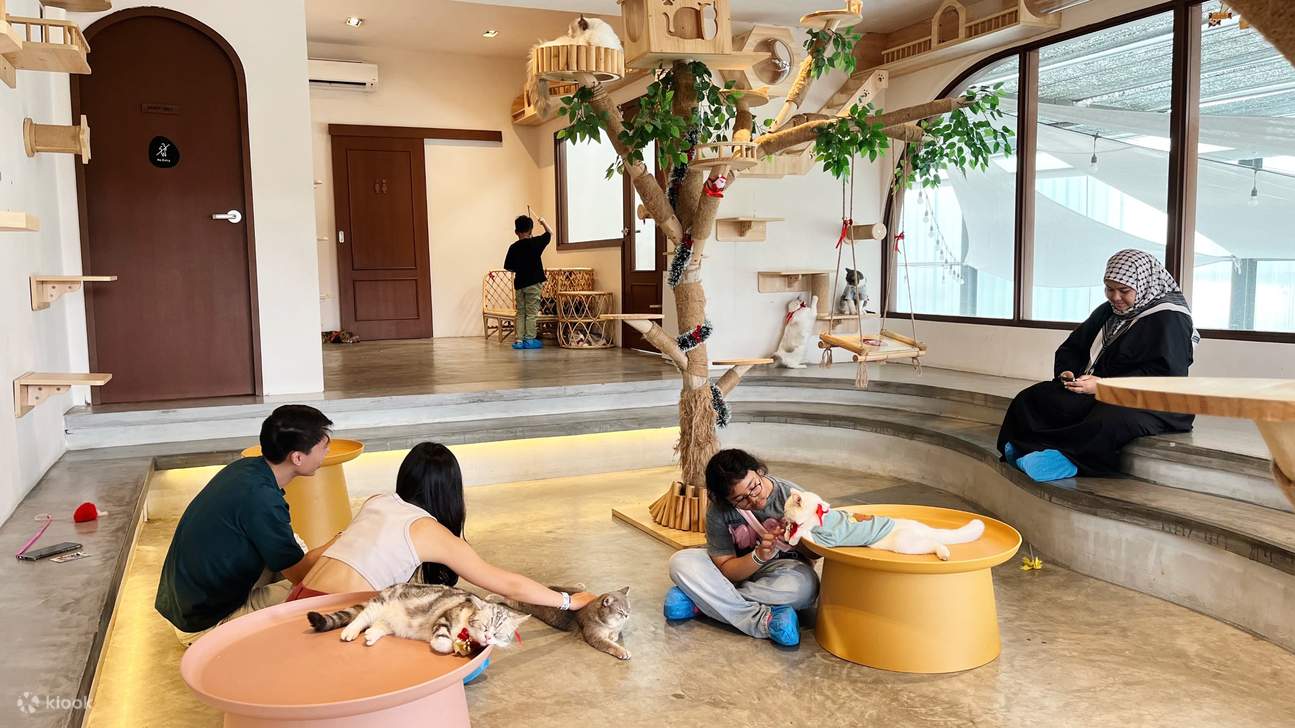 HOME by tales of paws 貓咪咖啡廳