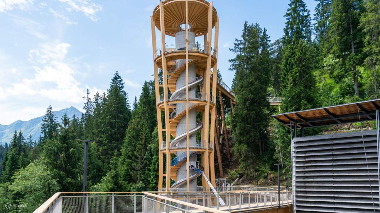 Billet pour la promenade dans la canopée en Suisse