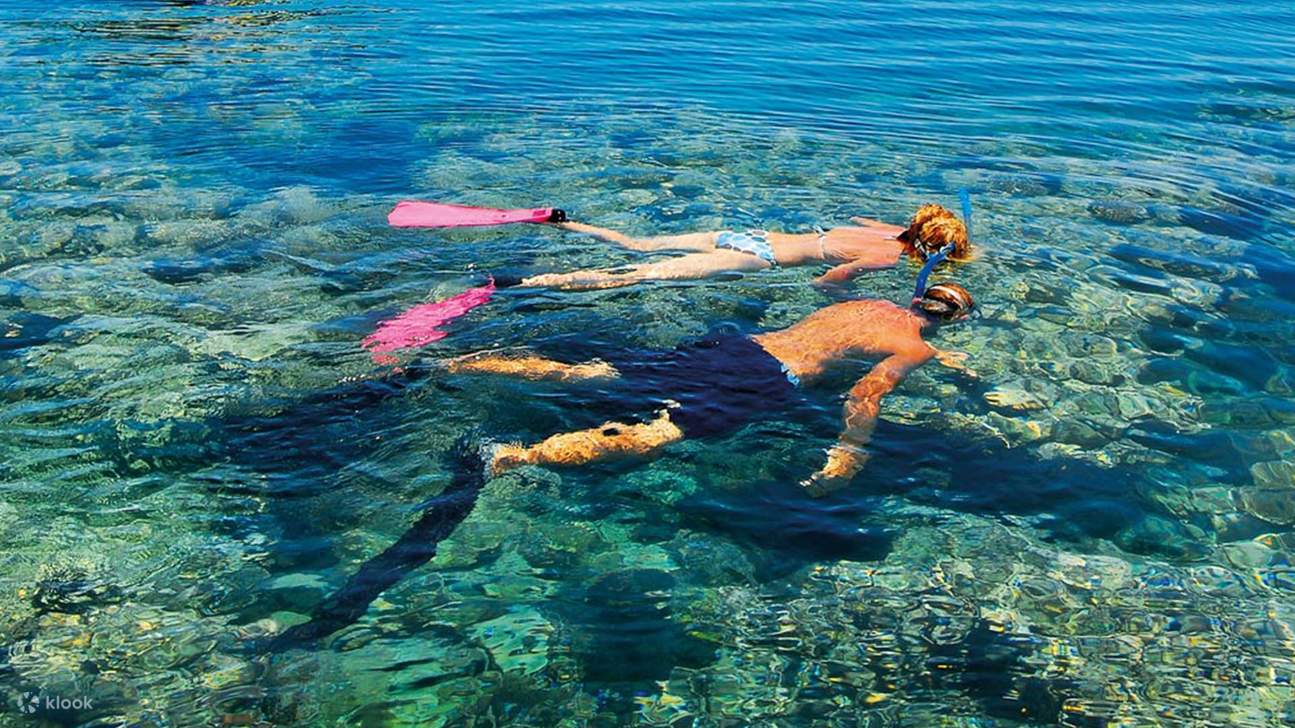 Aventure de plongée avec tuba à l'île de Tiran – Sharm El Sheikh