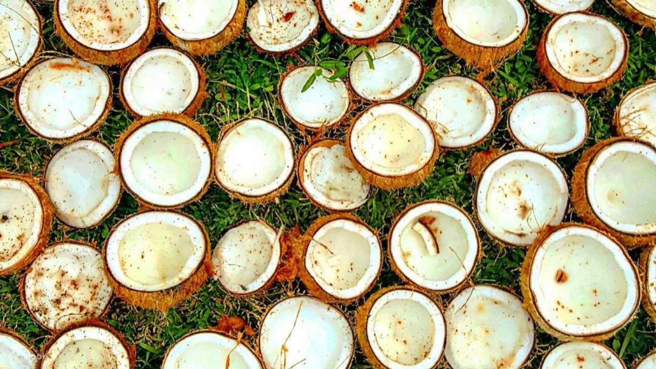 Pengalaman Membuat Minyak Kelapa di Bali Timur