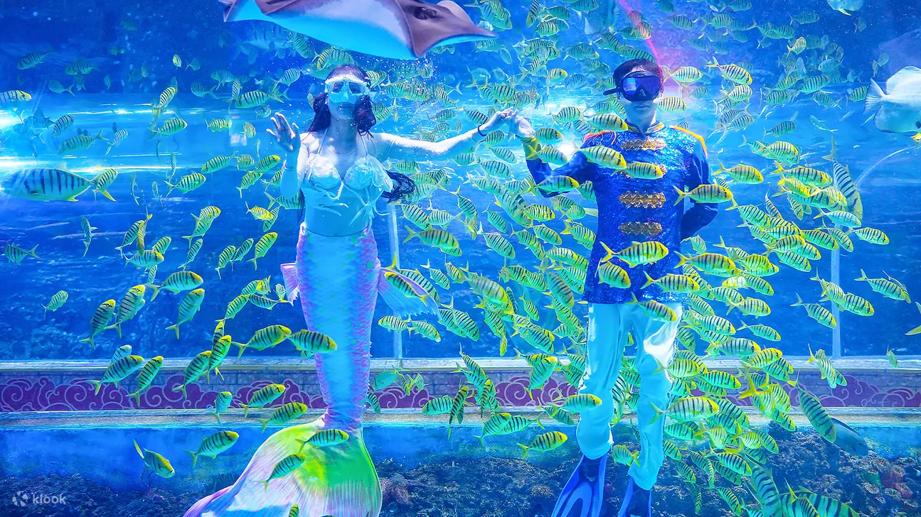 深圳观澜海洋世界门票