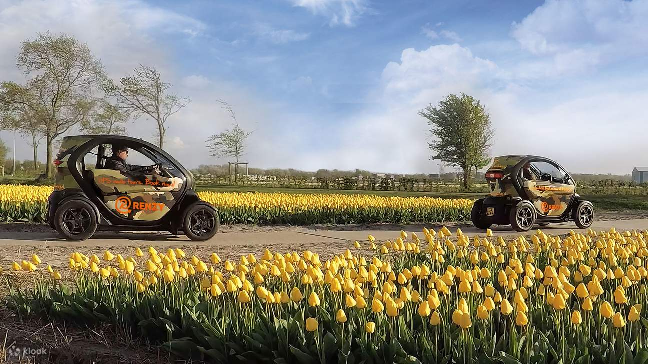 Campi di tulipani da vicino