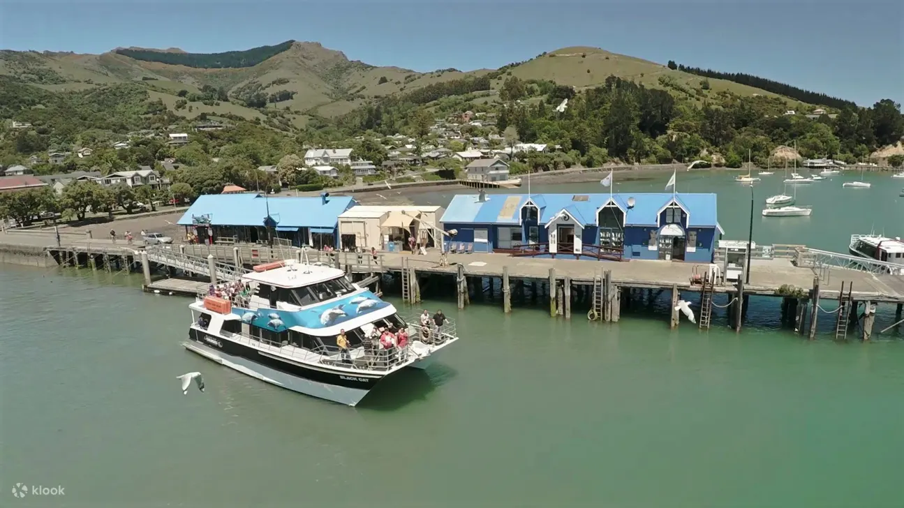 new zealand akaroa cruise