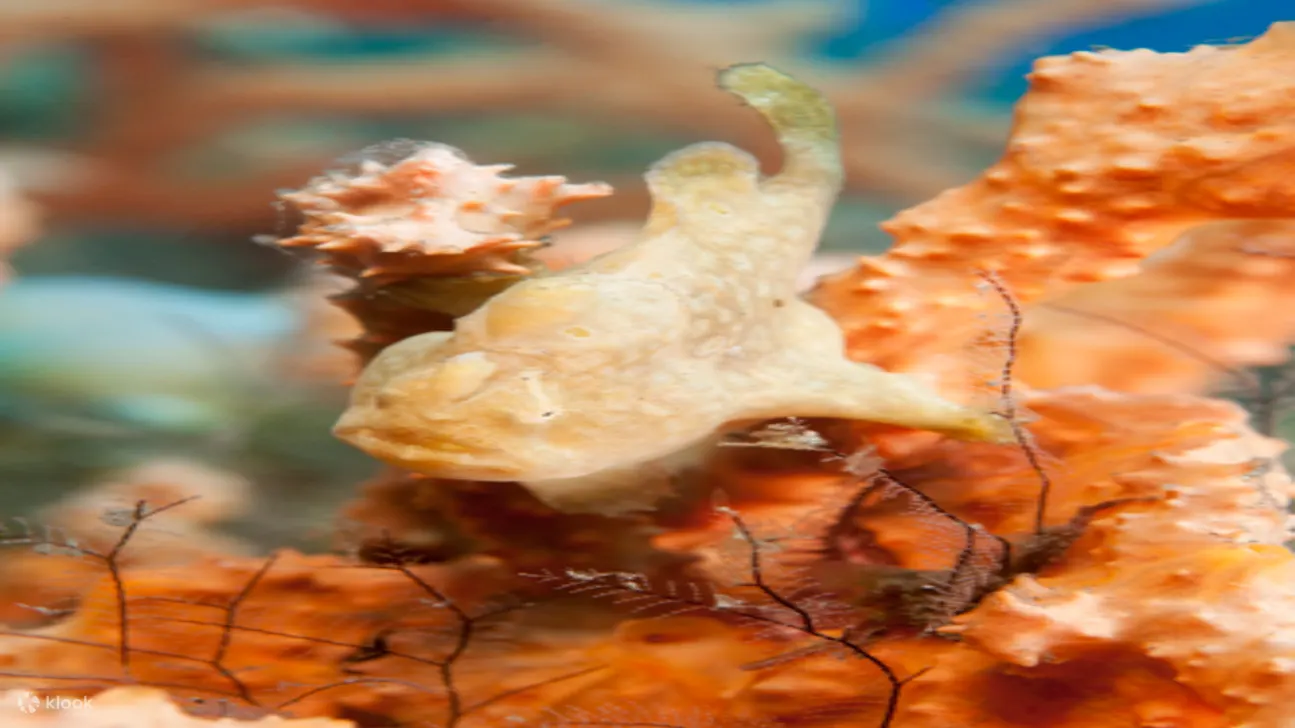 水肺潜水