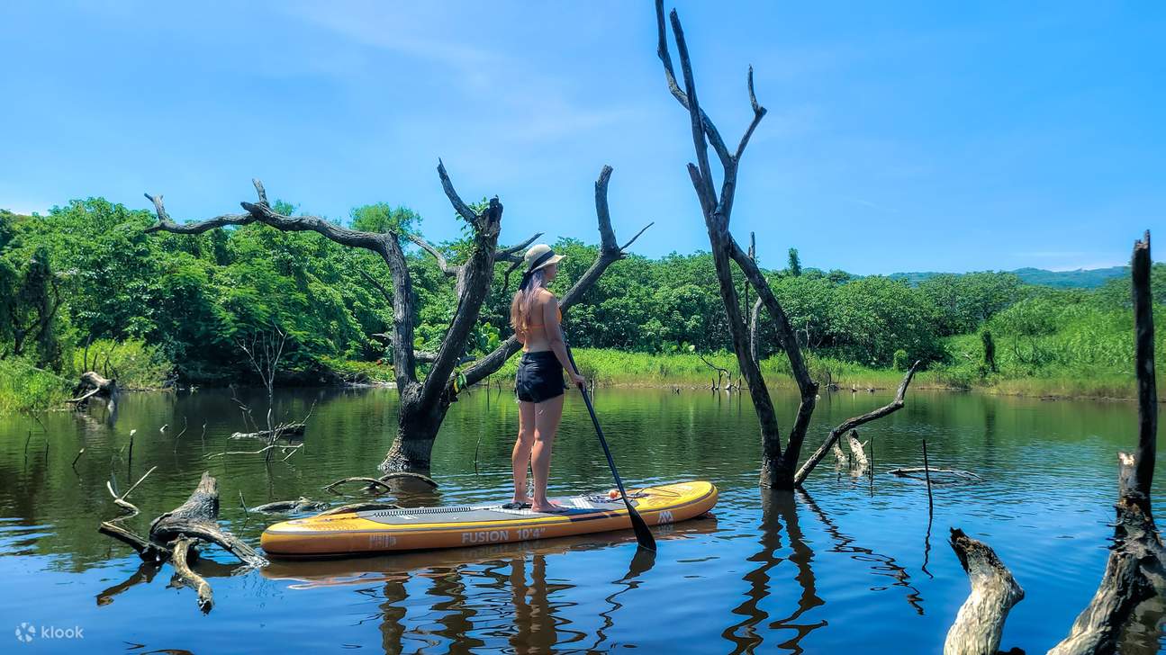 Chèo SUP trong rừng