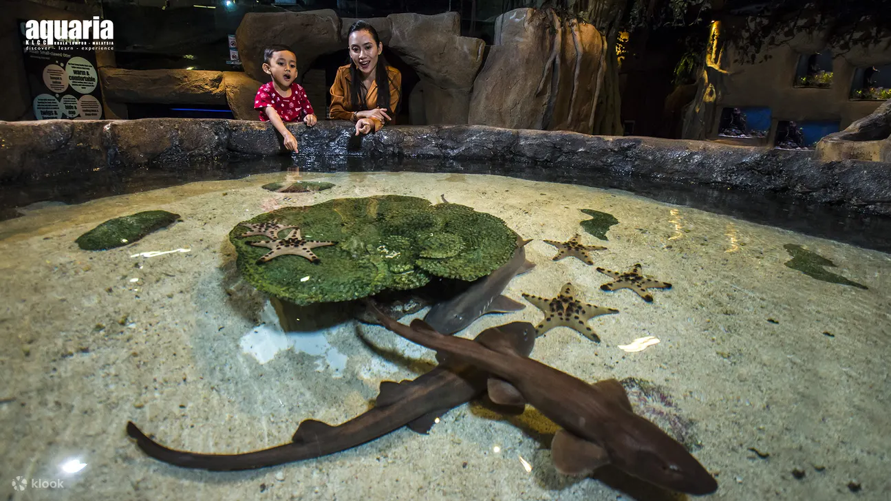 KLCC水族馆海洋生物