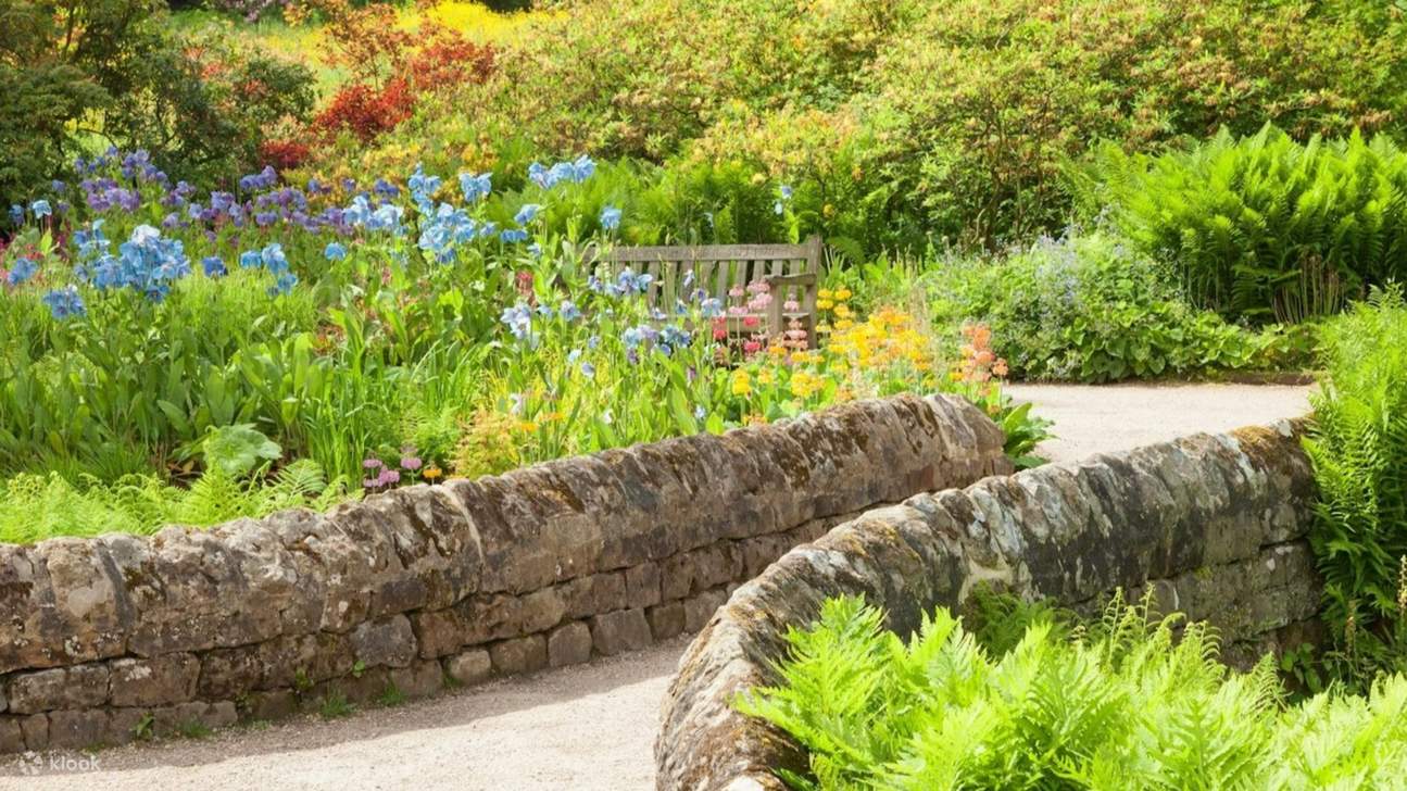 드높이 솟은 나무와 아름다운 정원이 펼쳐진 평화로운 산책로를 거닐어보세요.