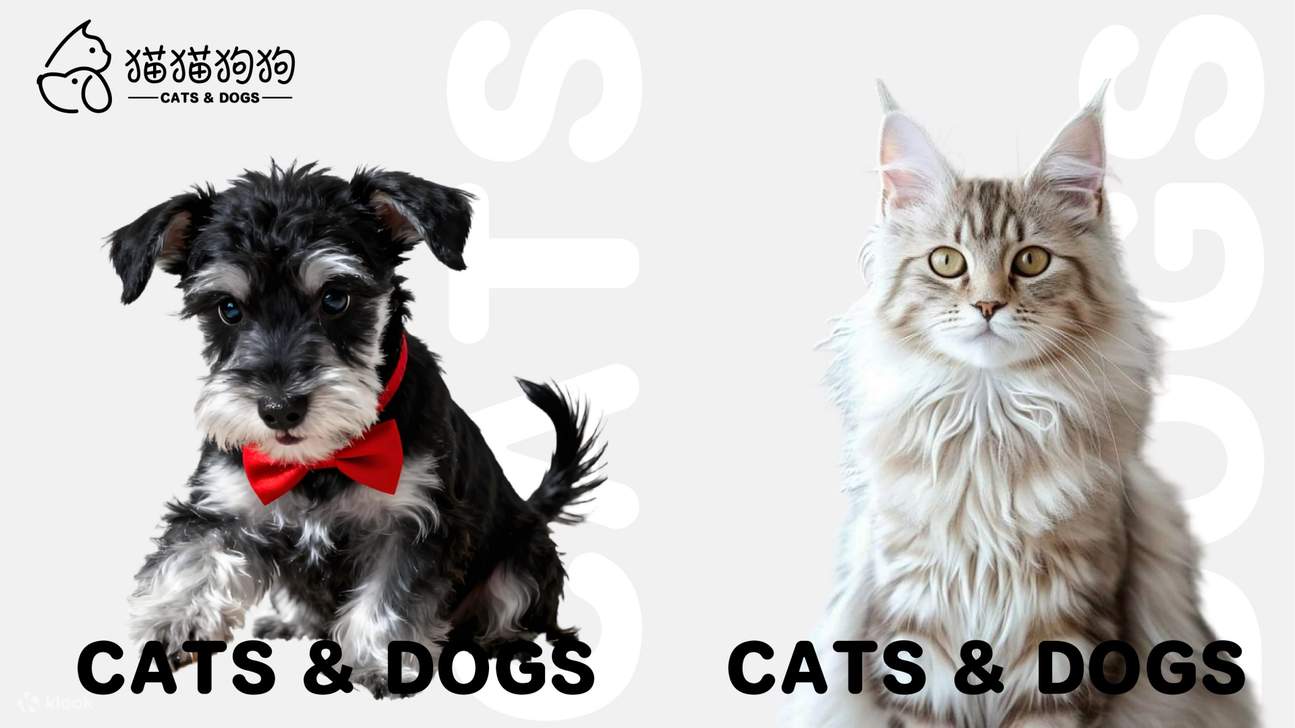 DX-PARK 2.0·地心公園