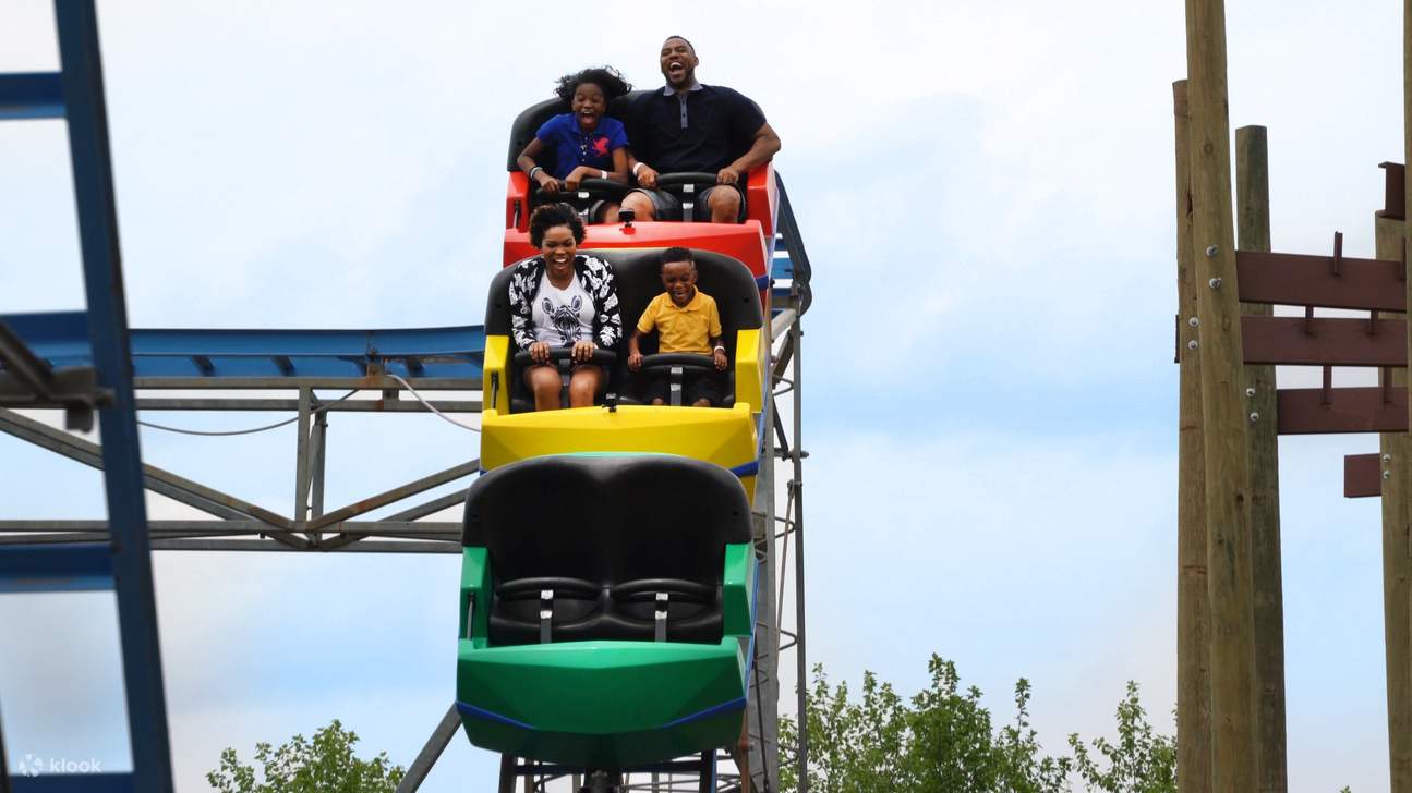 Montagnes russes Screaming Eagle