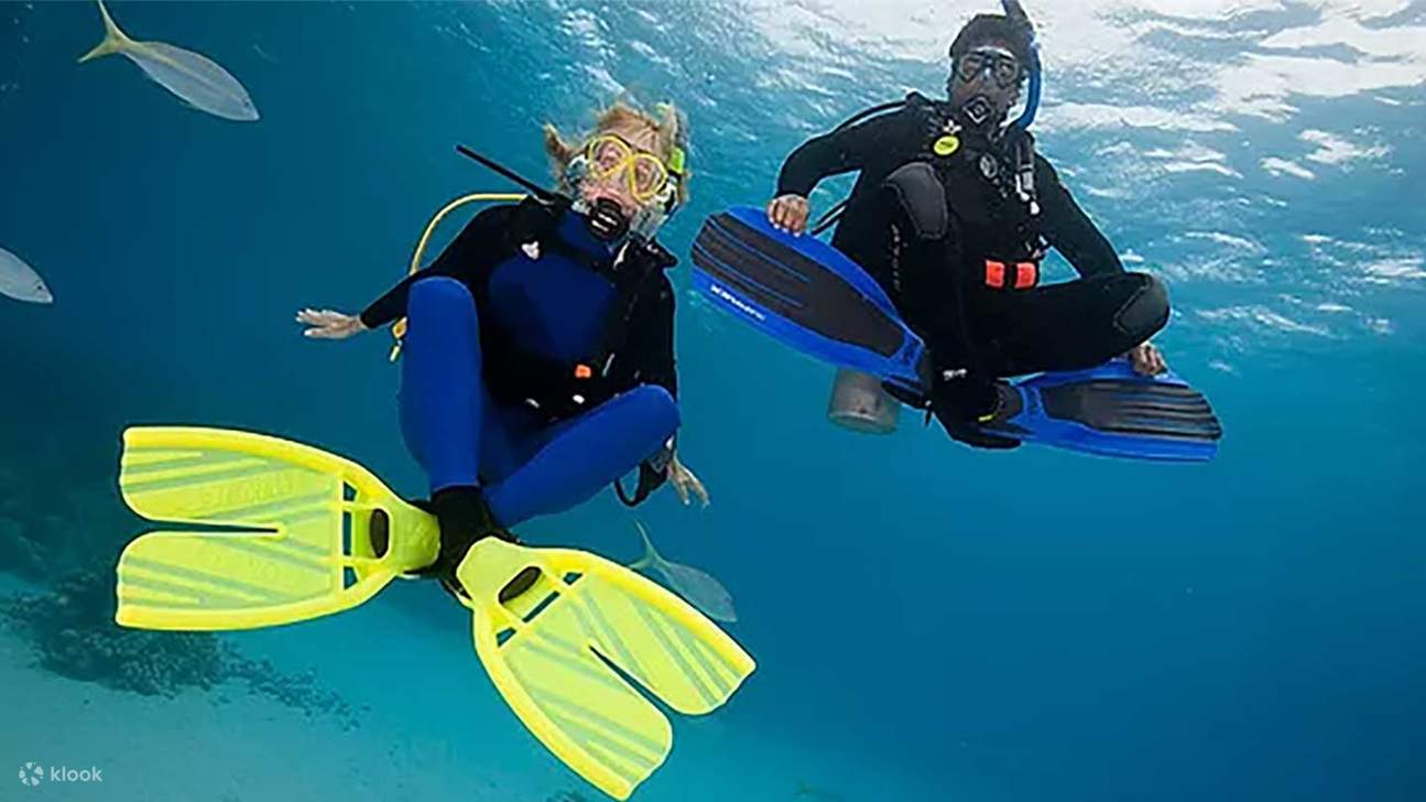 Penyelam Perairan Terbuka Tingkat Lanjut PADI