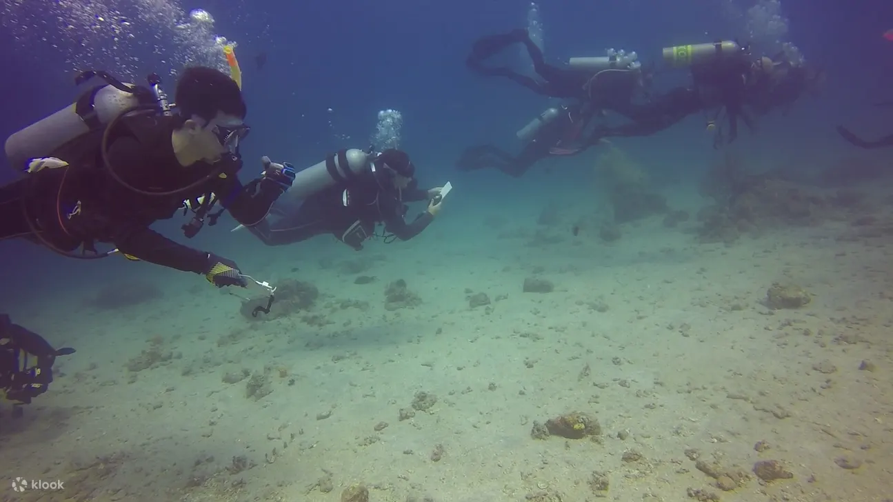 PADI 高氧空气潜水员