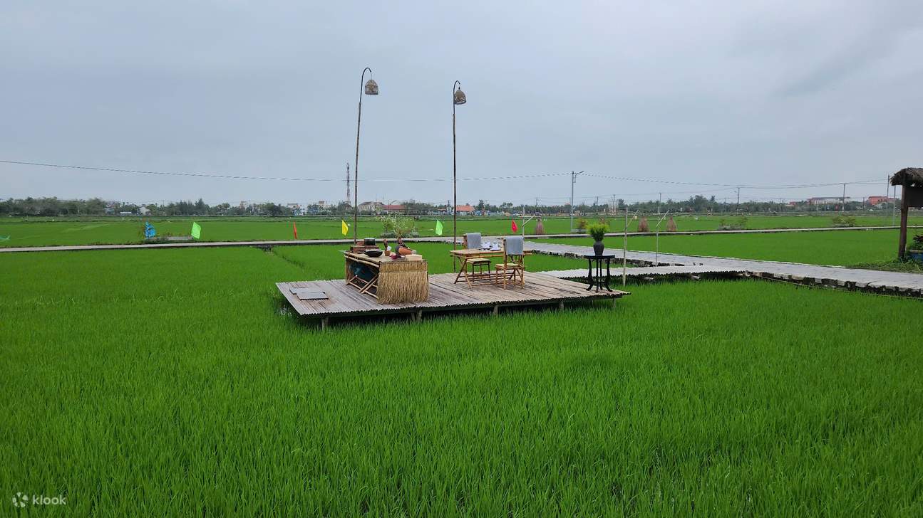 会安夕阳稻田晚餐 & 竹篮船体验