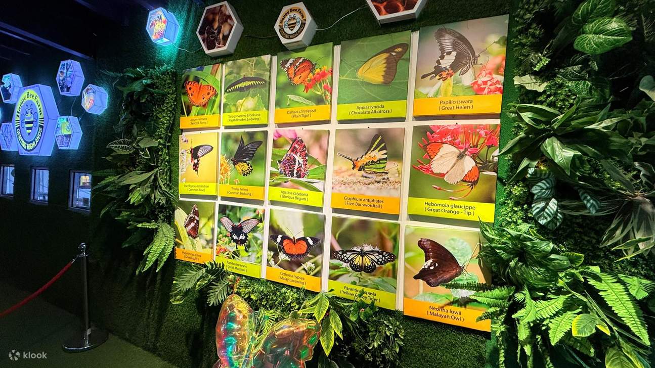 Tiket Masuk Happy Bee Farm di Genting Highlands