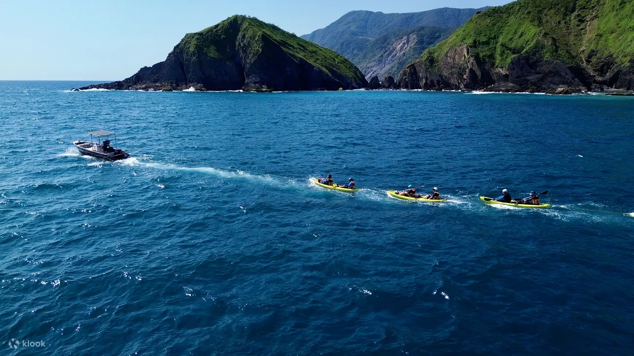 东澳湾粉鸟林立桨SUP：粉鸟林秘境海湾轻松畅玩
