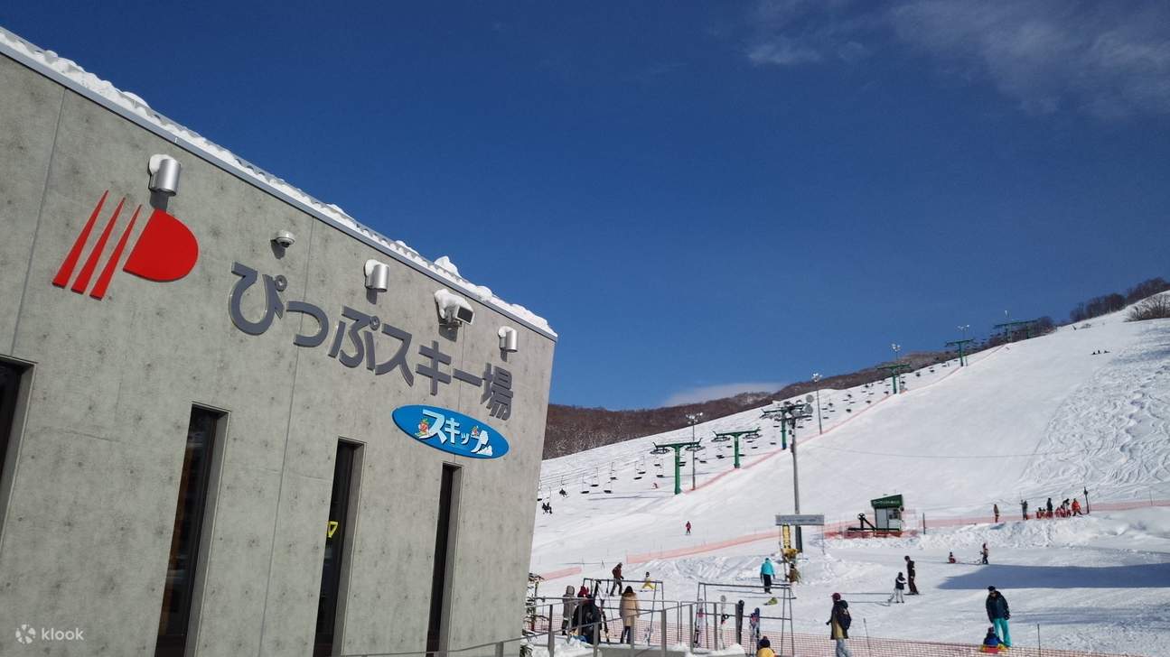 Однодневный лыжный тур в Пиппу, где можно насладиться самым северным пушистым снегом (в сопровождении англо- или китайскоязычного гида)