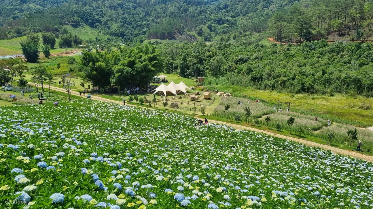 大叻市 Florest 门票