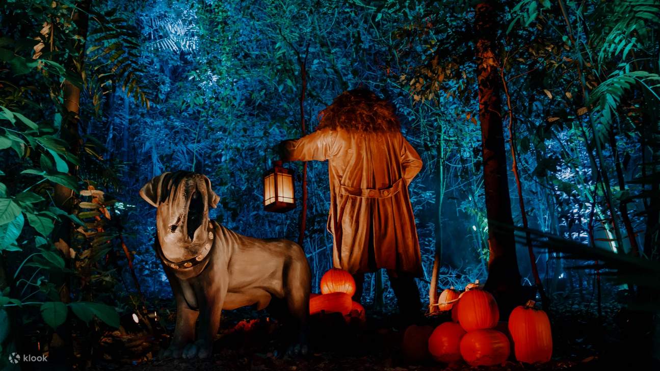 Гарри Поттер: Запретный лес (Шэньчжэнь)