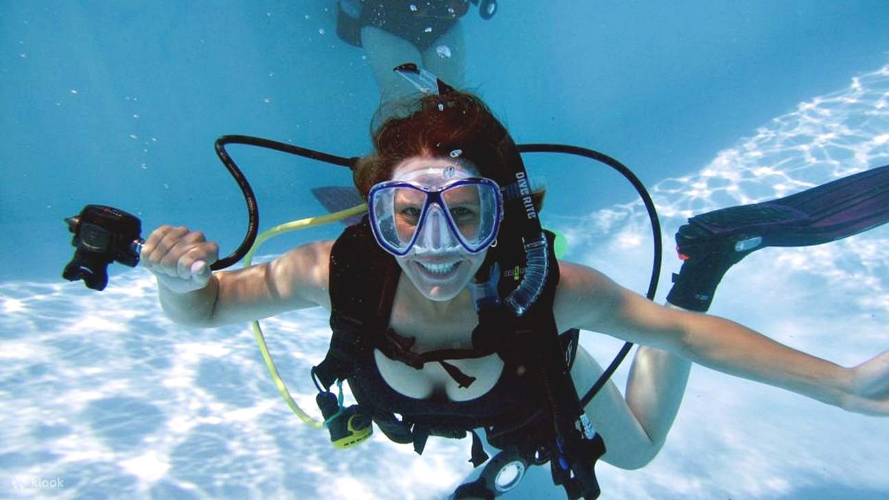 Sahl Hasheesh: Diving or Snorkeling Boat Trip with Lunch