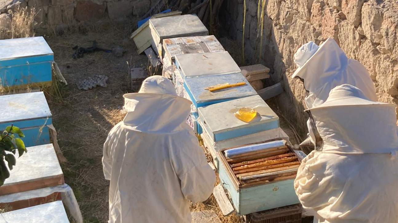 小さな生き物たちが生態系を形成し、農業を支える仕組みを学びましょう。