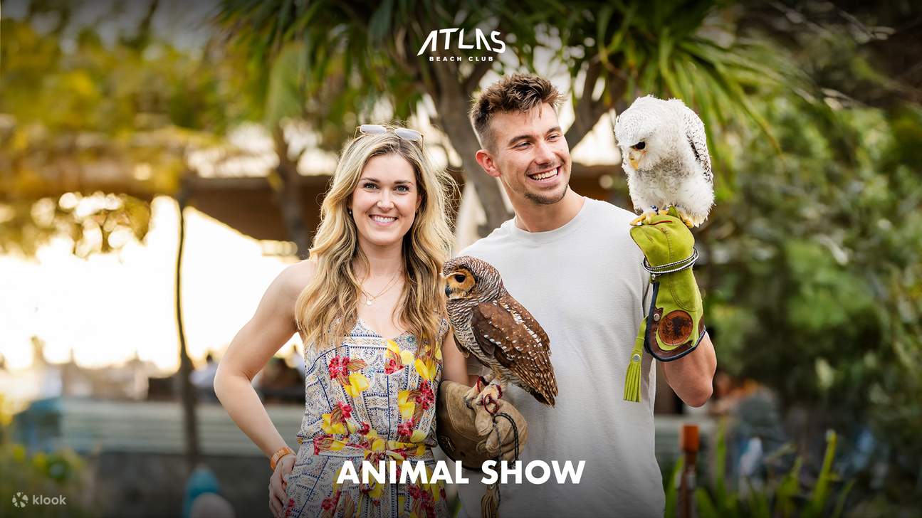 아틀라스 비치 클럽 입장권