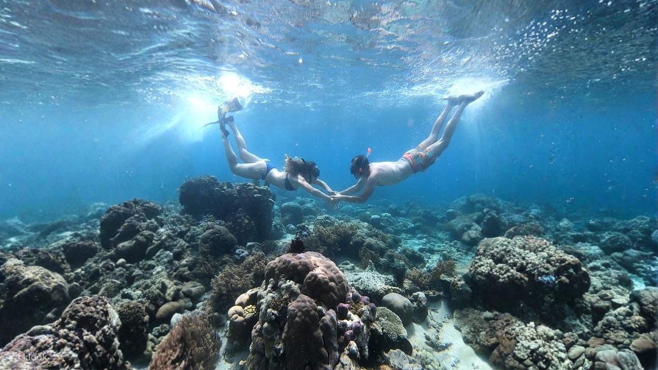 Privat snorkletur til hemmelige øyer på Lombok med GoPro