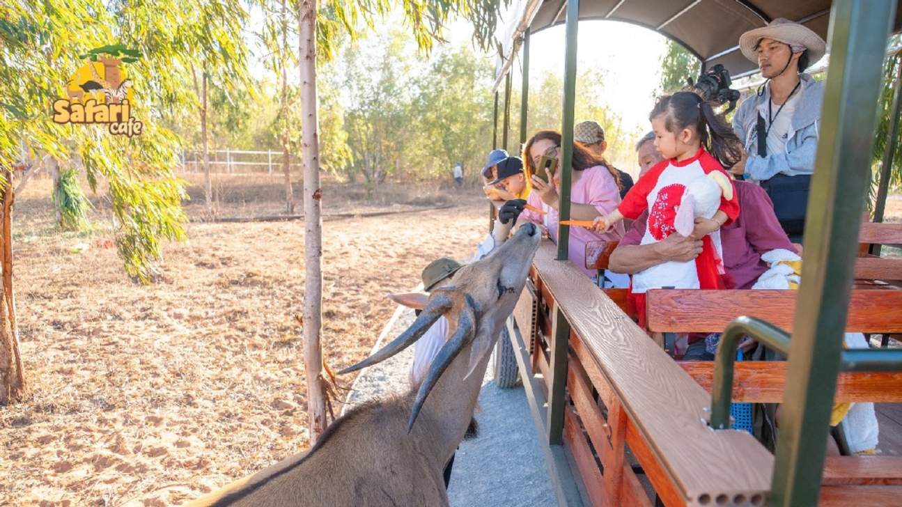 Tiket Novadreams Phan Thiet