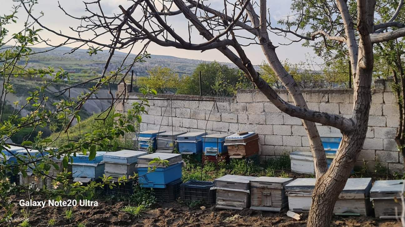 Inspirez l'arôme parfumé du miel et du pollen fraîchement récoltés