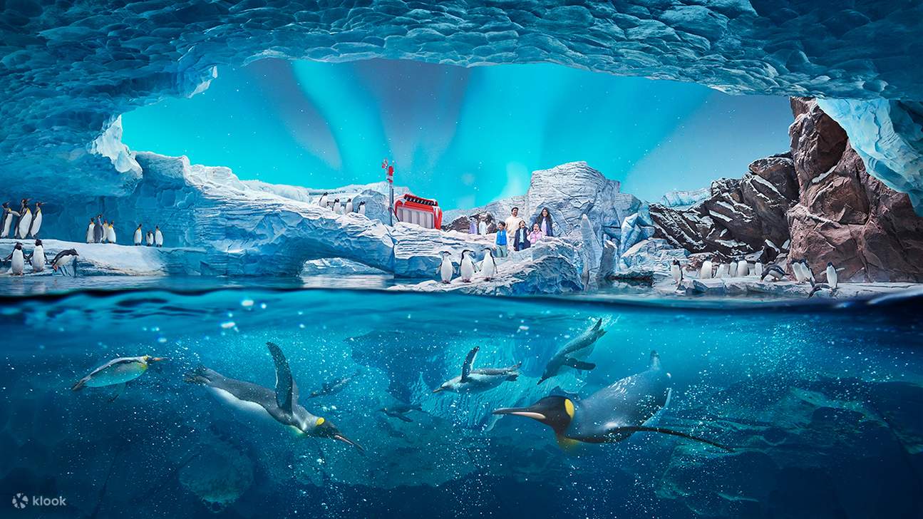 Tiket Masuk SeaWorld di Abu Dhabi