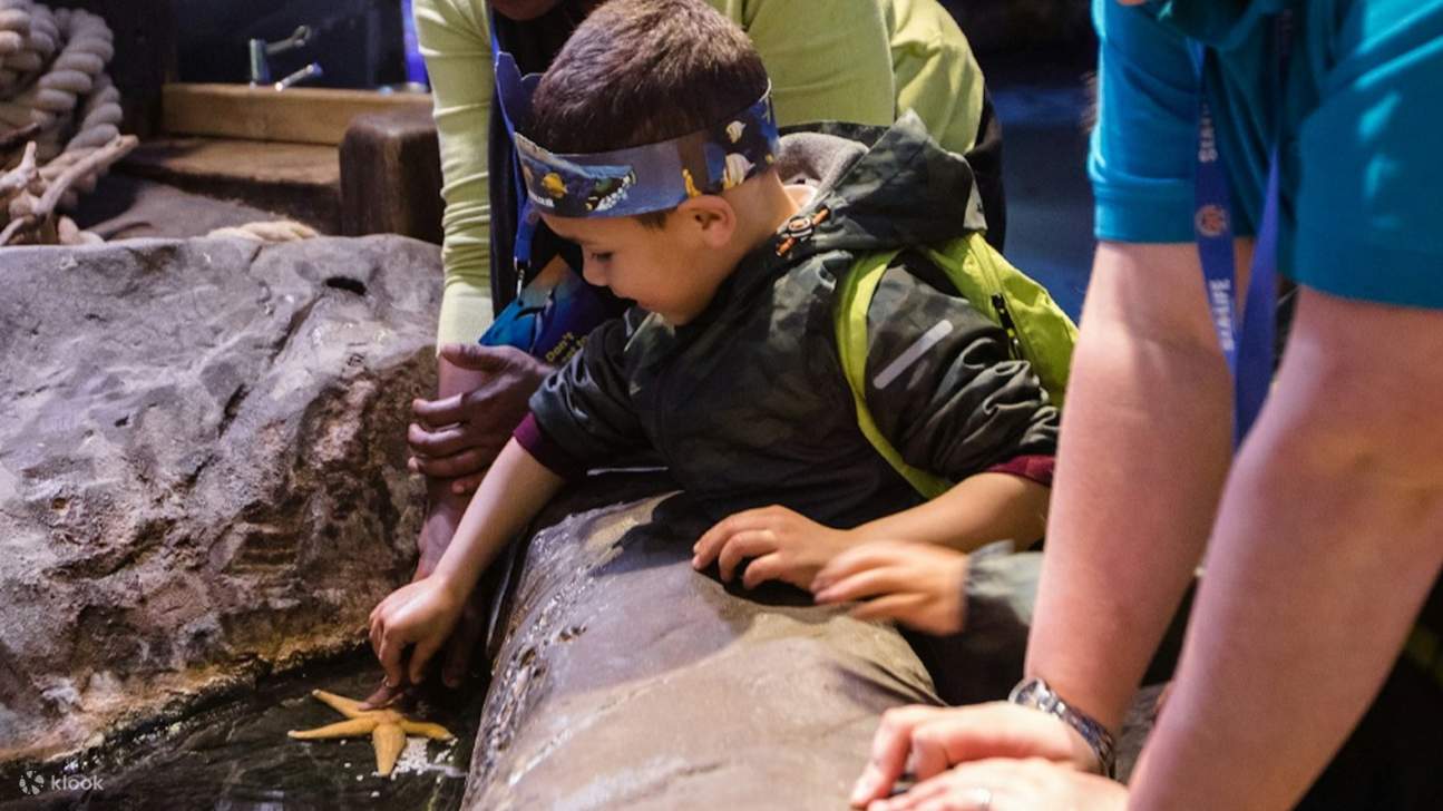Berinteraksi secara langsung dengan hidupan laut yang menakjubkan di kolam sentuh interaktif di SEA LIFE Birmingham