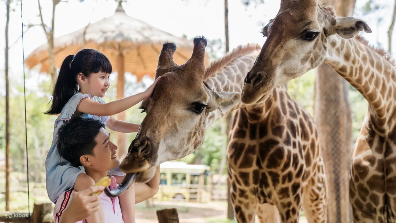 Vinpearl Safari Phu Quoc Ticket