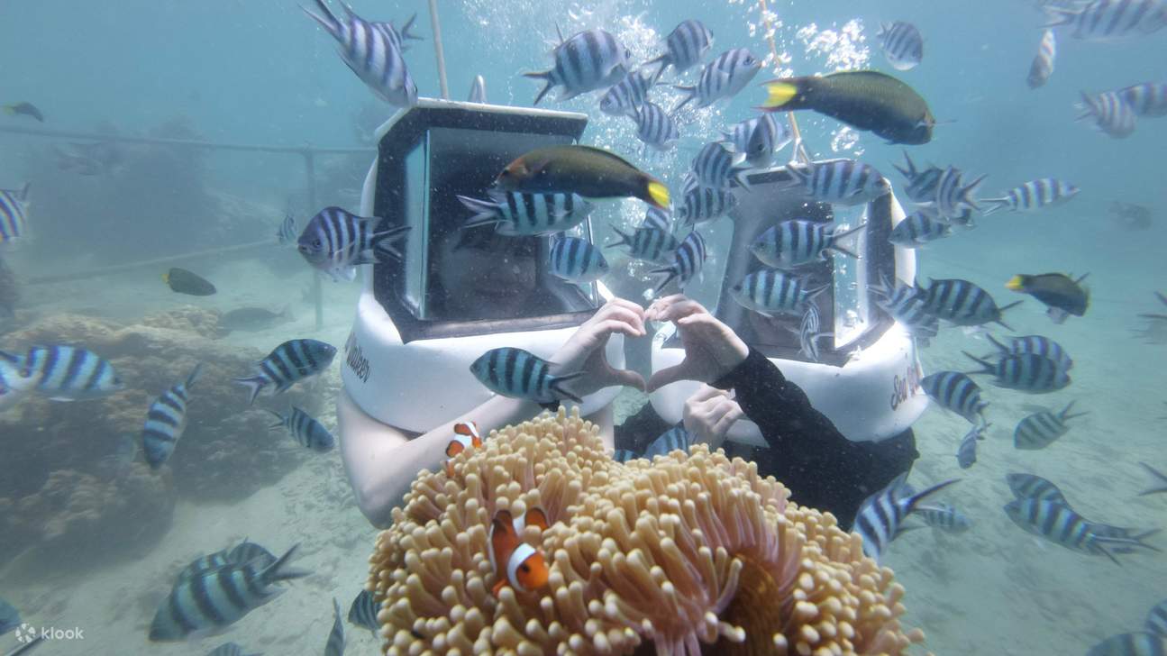 Tour Đi Thuyền với Lặn Ống Thở Kota Kinabalu ở Sabah