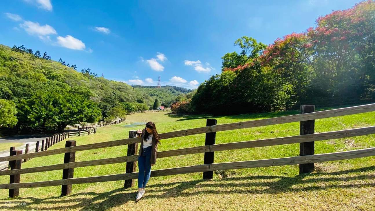 Vé vào cửa Nông trại Flying Cow, Miaoli