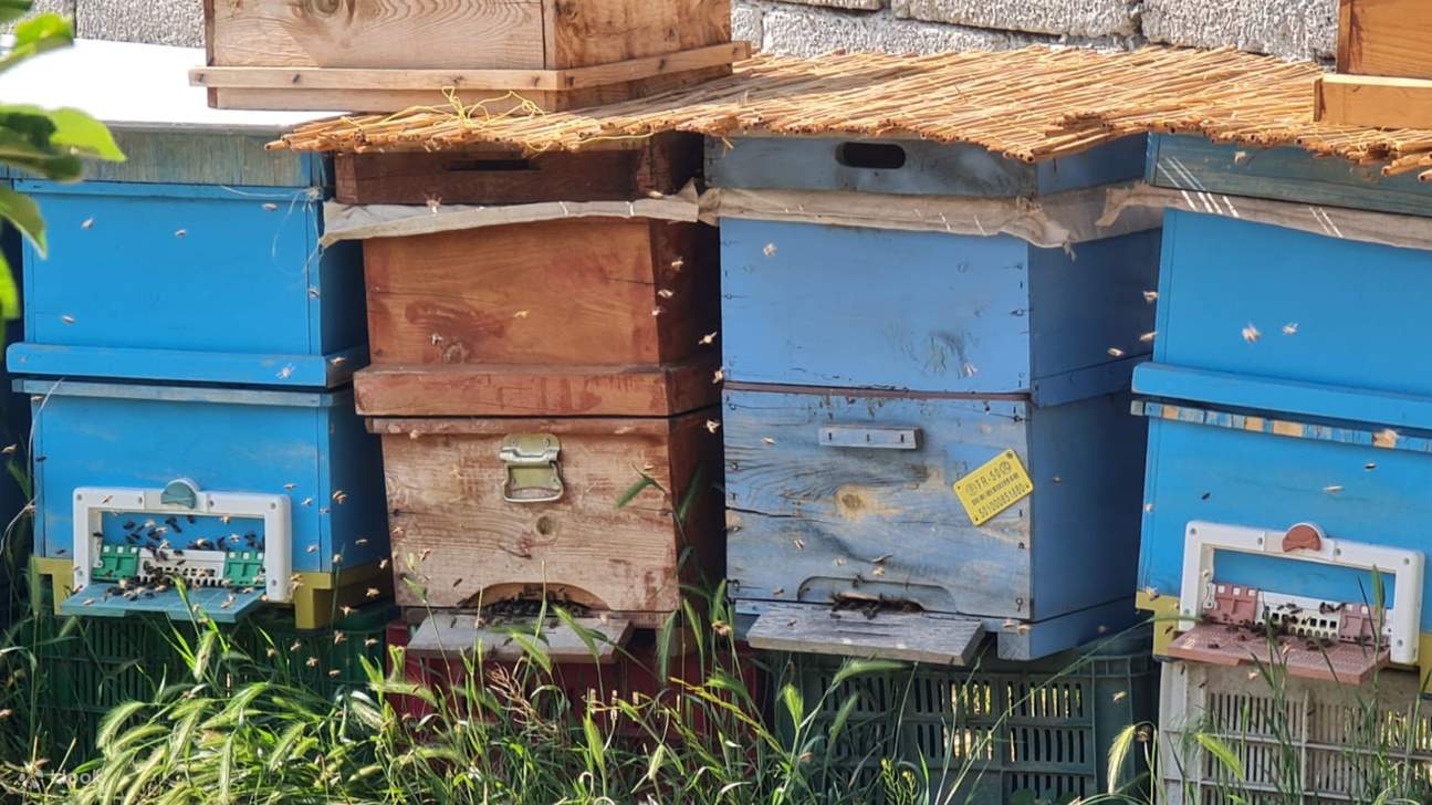 벌들이 완벽한 조화를 이루며 활동하는 소리를 느껴보세요.