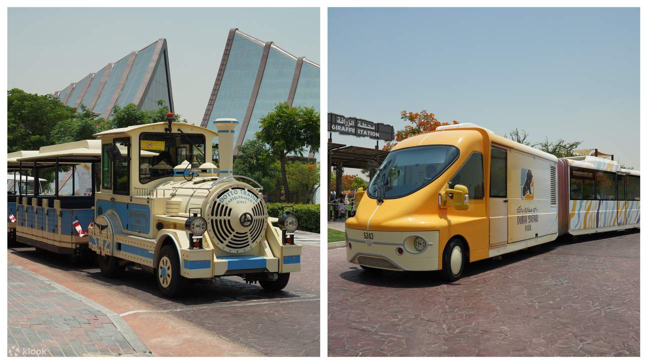 Voi tại công viên safari