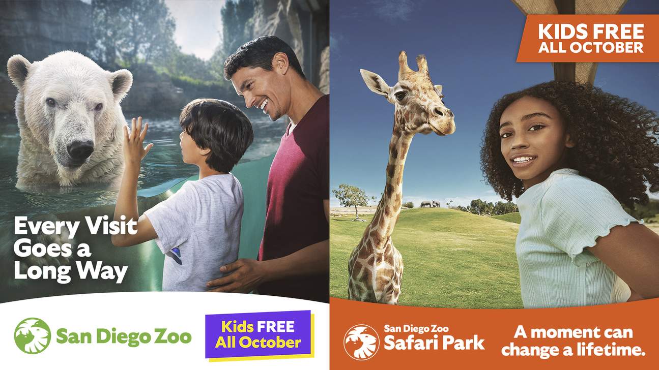 Cart Safari  San Diego Zoo Safari Park