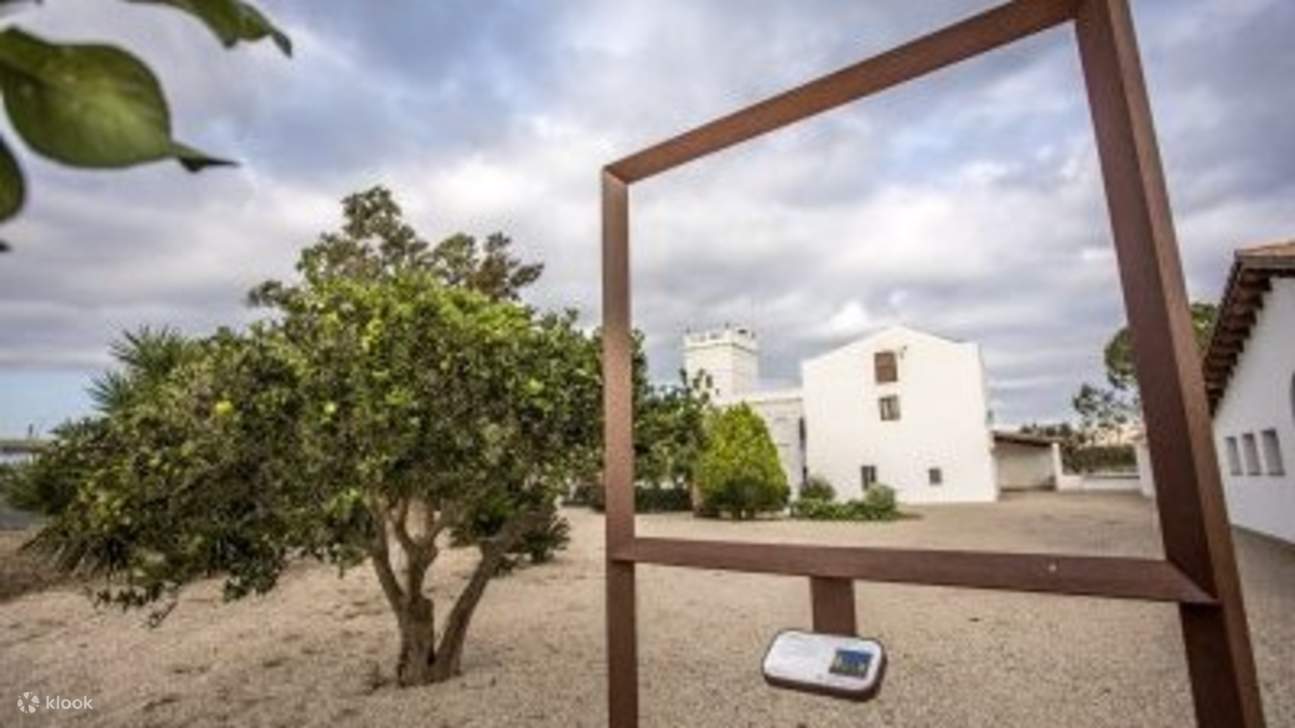 Biglietto per la Fundació Mas Miró a Mont-roig del Camp