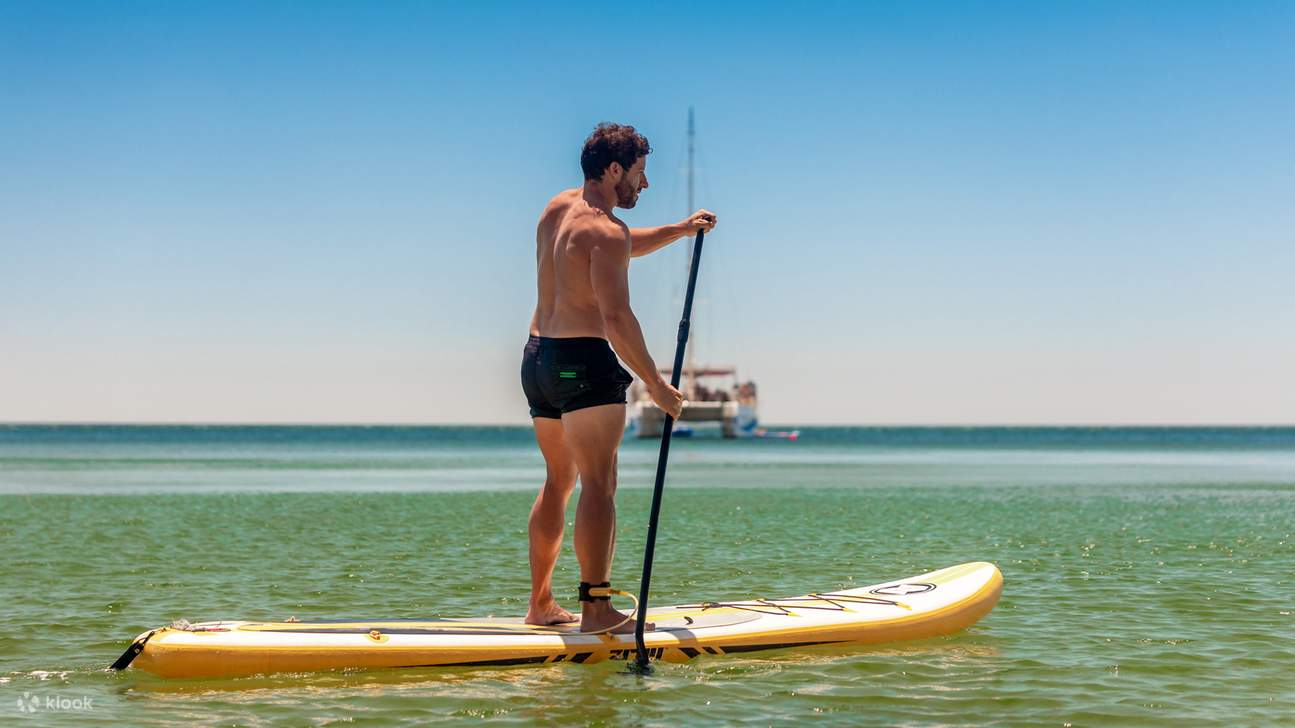Laissez-vous bercer par les vagues et voyagez en toute tranquillité