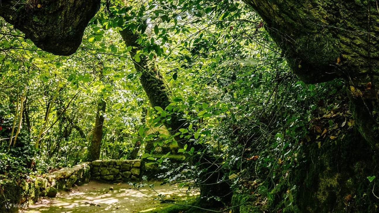 沉浸在这座古老而隐秘的石头修道院周围宁静的绿色植物中