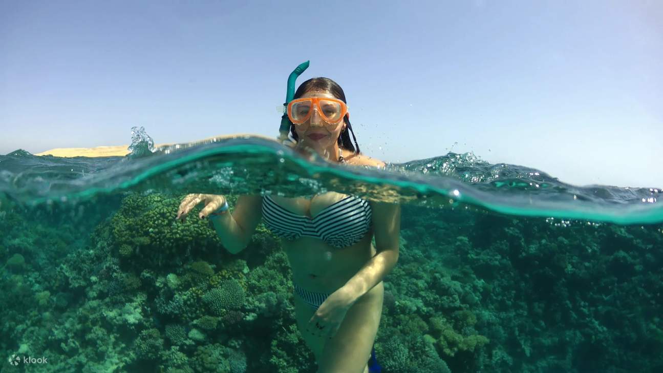 Esnórquel en Marsa Mubarak y 1 Aventura de Buceo y Almuerzo - Marsa Alam