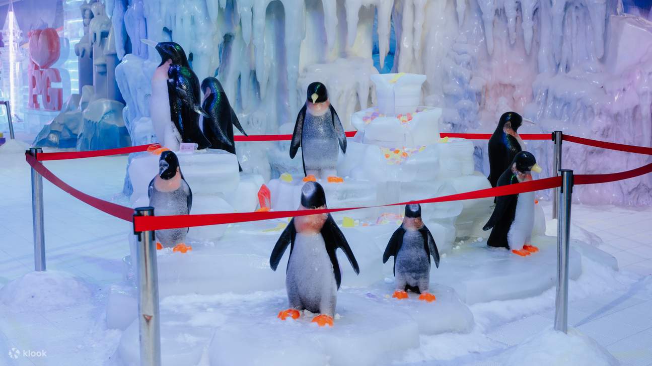 Biglietto per Antarctic Snow World a Penang