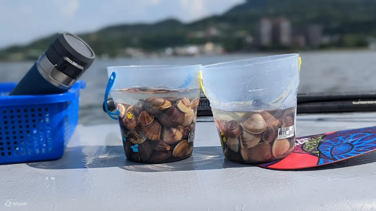 新北八里左岸｜SUP立桨｜沙洲蛤蛎