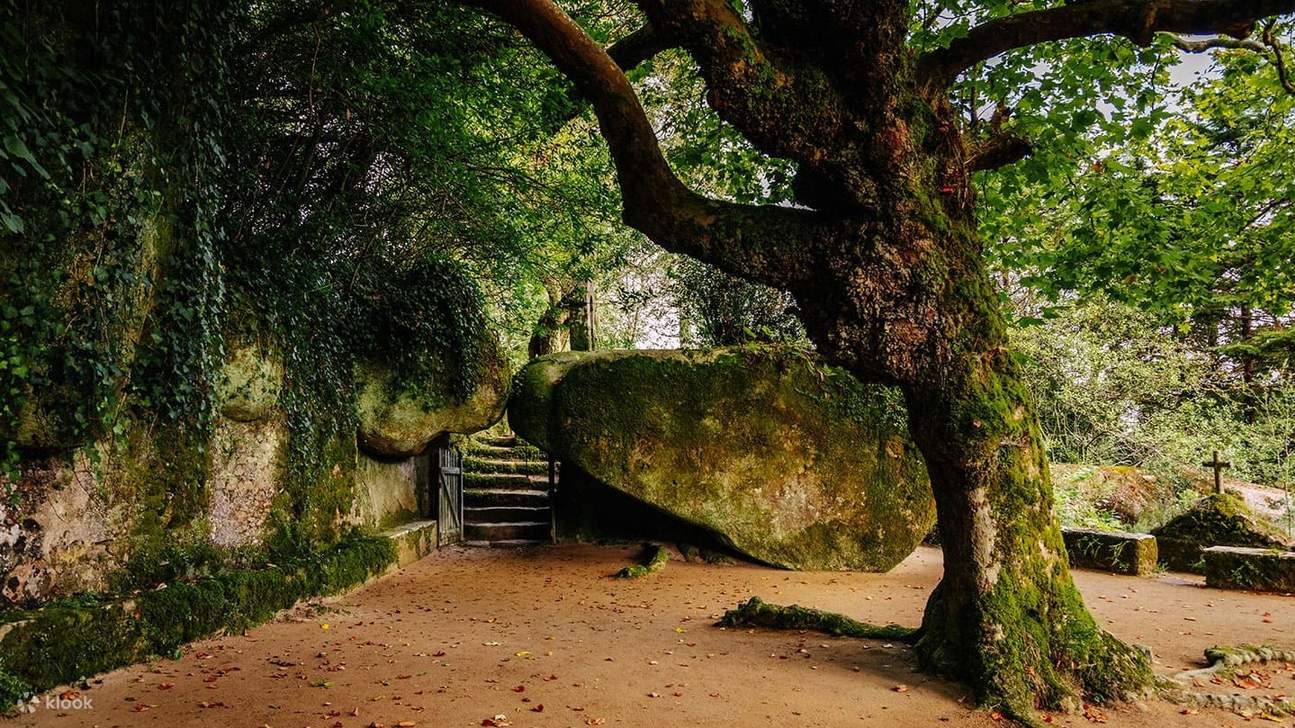 欣赏宁静的自然风光，感受石头、森林和历史的完美融合