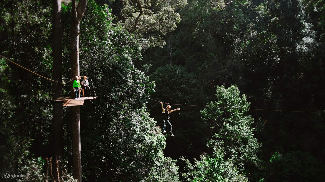 Chiang Mai: Petualangan Zipline Flying Tiger - Klook