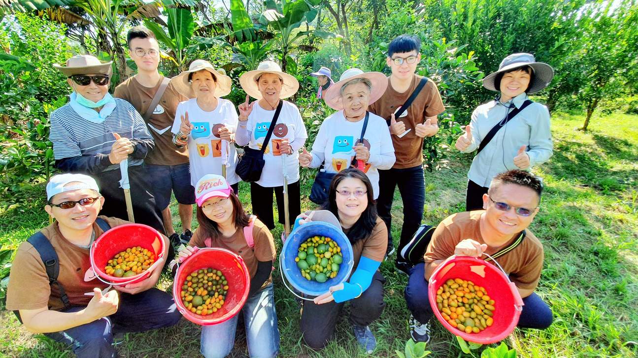 Presentación del Parque Educativo de la Iglesia de Papel Nueva Patria - Diversión turística en la granja Changqing, alegría de la recolección natural sin veneno