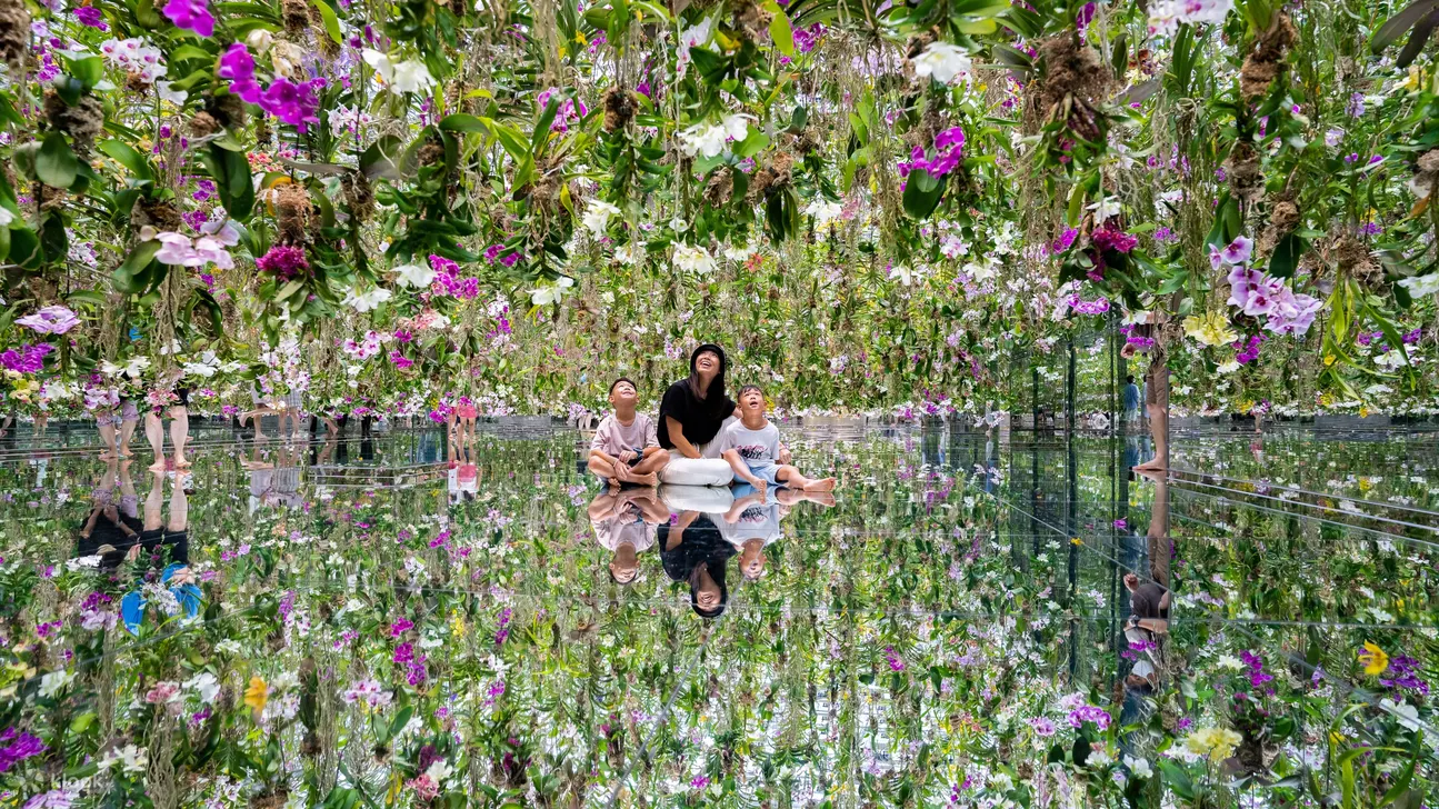 teamLab Planets TOKYO - 漂浮的花园